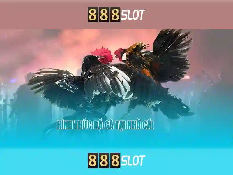 Trải Nghiệm Slot Đỉnh Cao Với 888slot Poker