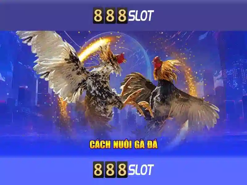 Cách Chơi Slot 888SLOT Hiệu Quả