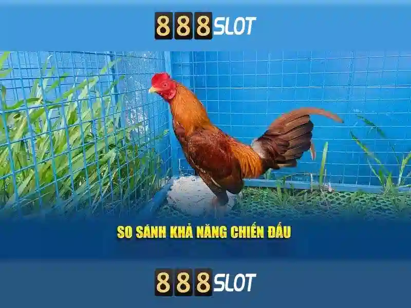 Thể Thao 888SLOT – Đa Dạng Trò Chơi Slot Mới Nhất