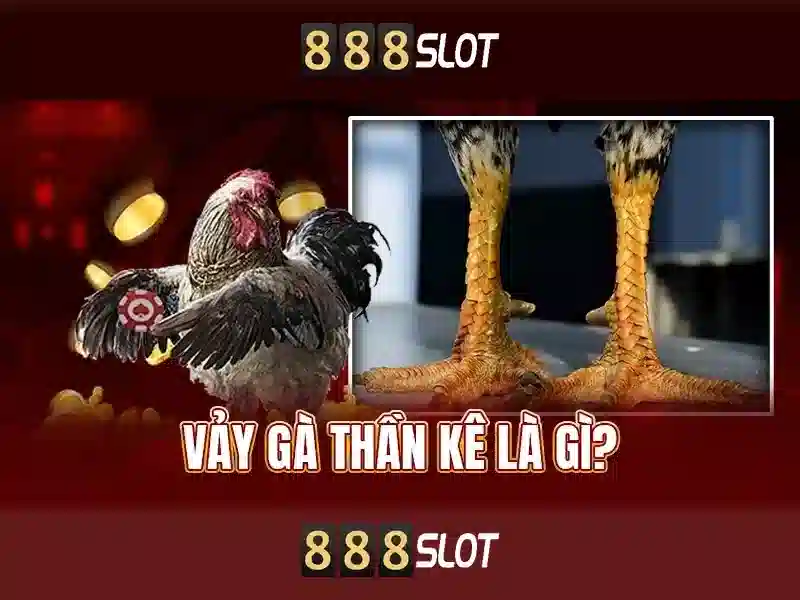 Trải Nghiệm Cá Cược
