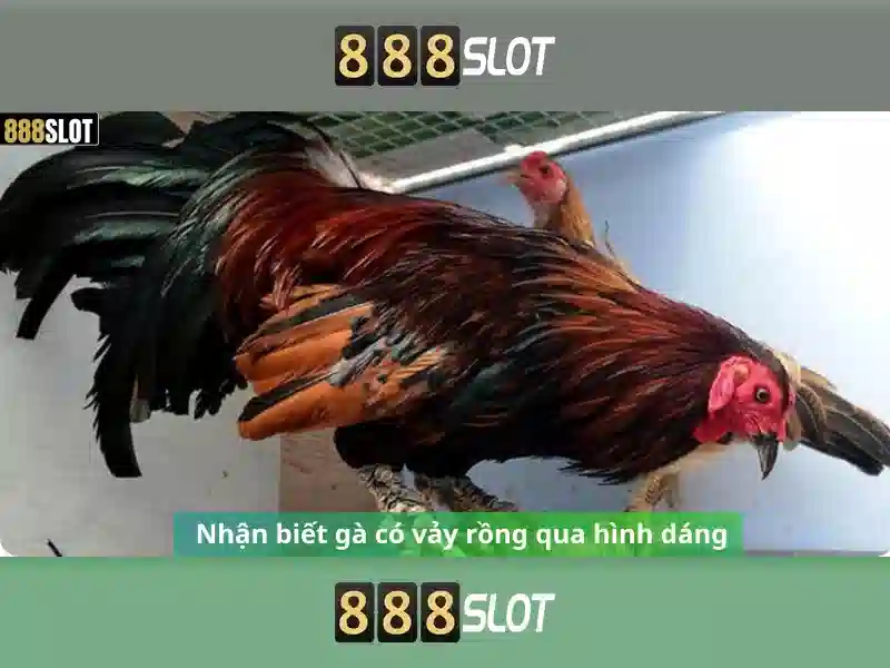 Quy trình đăng ký 888slot