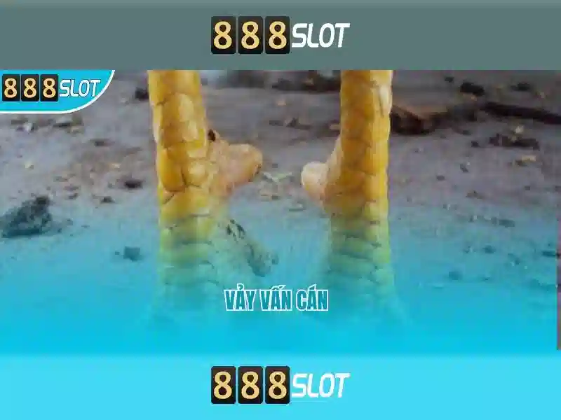 Đặc Điểm Nổi Bật Của 888SLOT