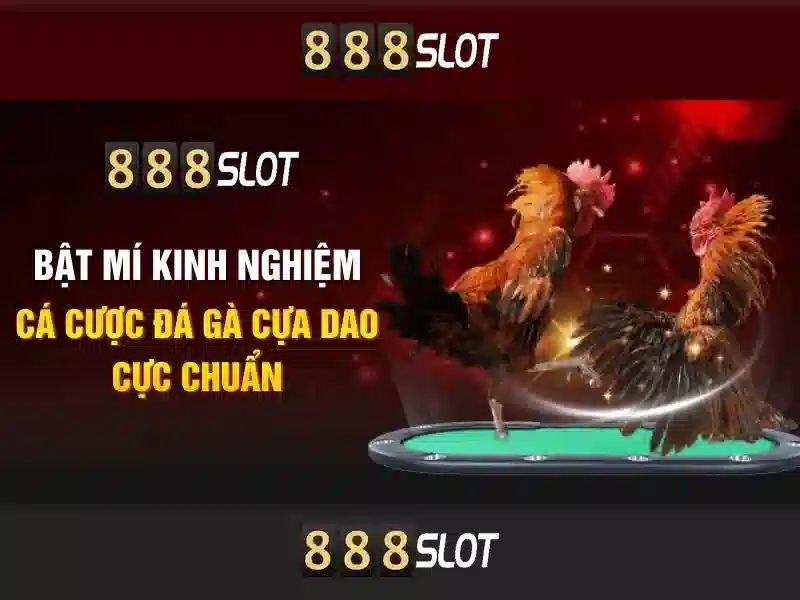 Giải Pháp Tối Ưu Cho Người Chơi