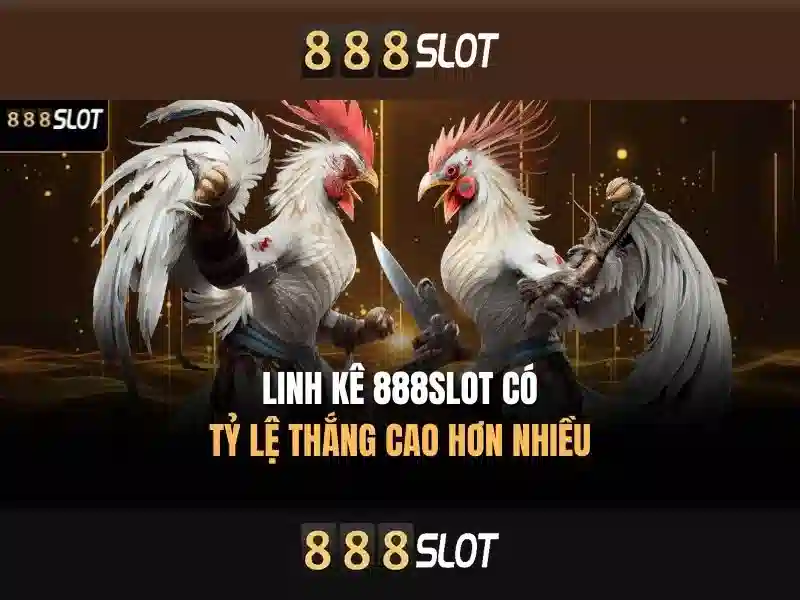 Trải Nghiệm Vui Vẻ