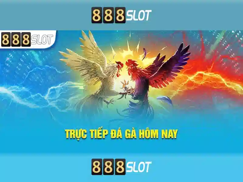 Ưu Điểm Nổi Bật Của Cá Cược 888slot