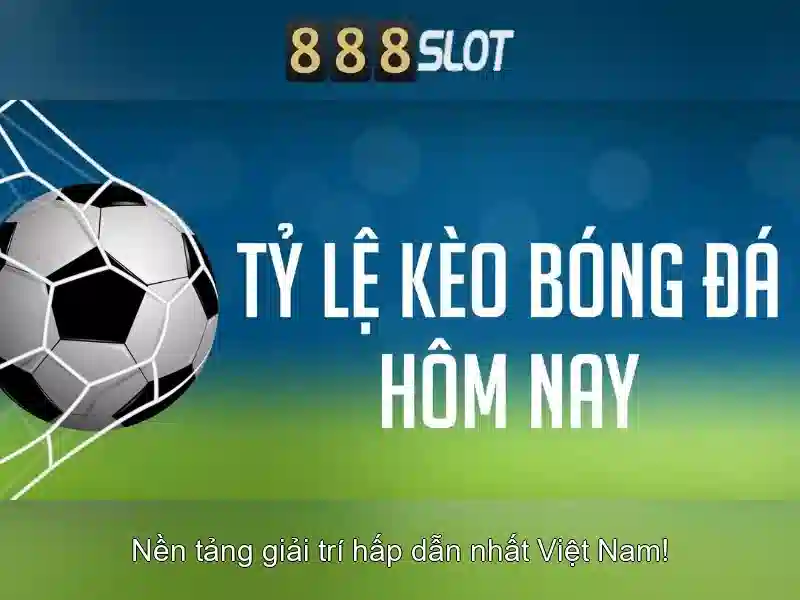 Đặc điểm nổi bật