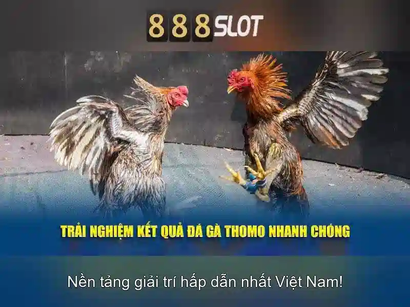 Trải Nghiệm Đỉnh Cao