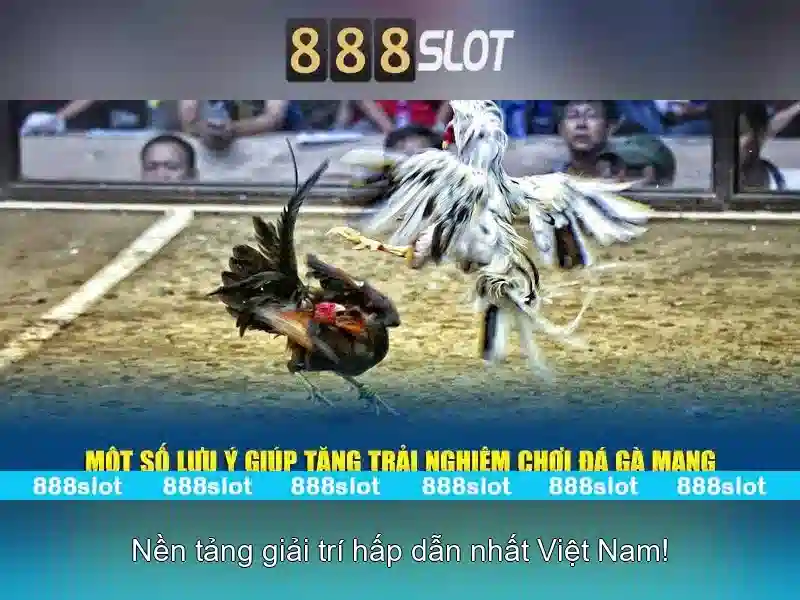 chơi SLOT 888SLOT