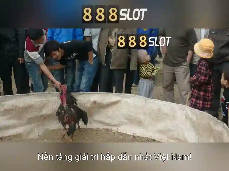 Ưu Đãi Freebet