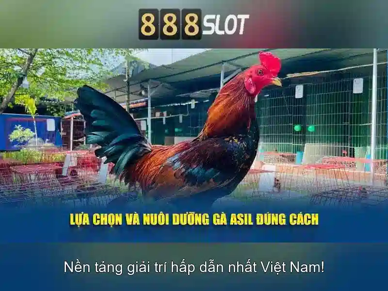 Tải app 888slot