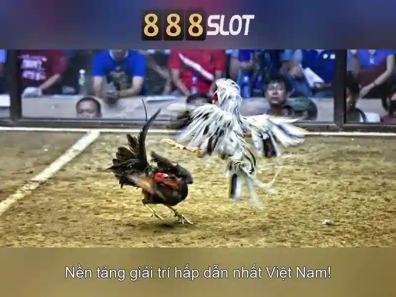 Tiền điện tử 888slot