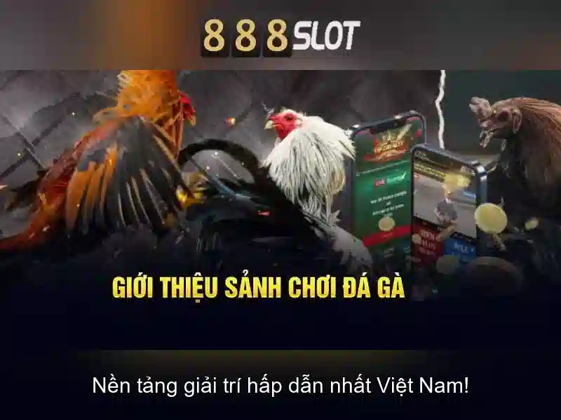 888slot store – Bệ Móng Cho Người Chơi Slot