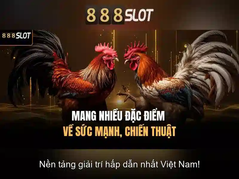 Tại Sao Nên Chọn 888SLOT Cho Slot Xổ Số