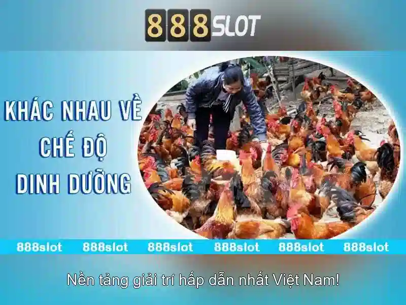 hướng dẫn đăng ký