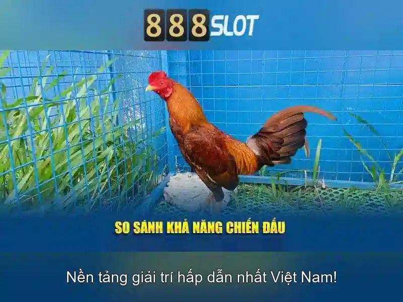 Giới Thiệu Về 888SLOT