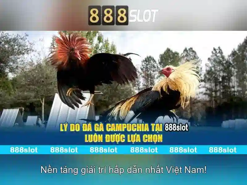 công cụ hỗ trợ 888slot