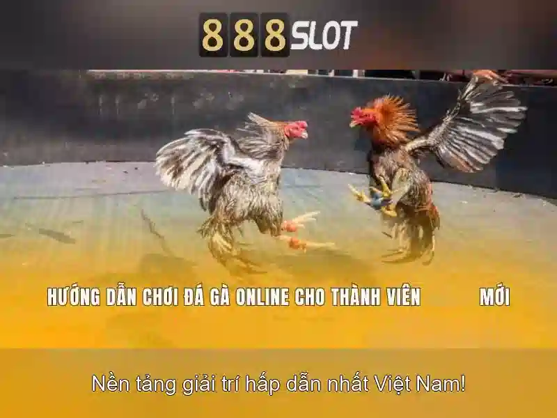 Đá Gà 888SLOT